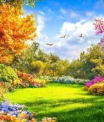 Our Sacred Memories