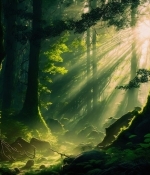 Spiritual Lessons from Trees