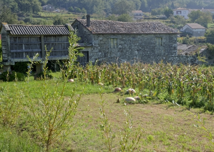 Farmhouse in Galicia A Pilgrimage to St James of Compostela